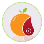 blood group diet android application logo